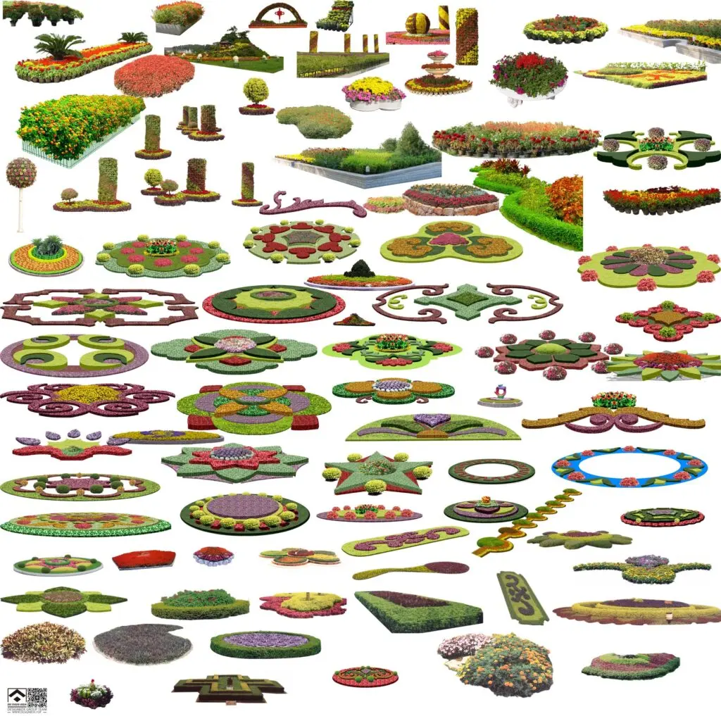 20241122155911832-植物 (3)