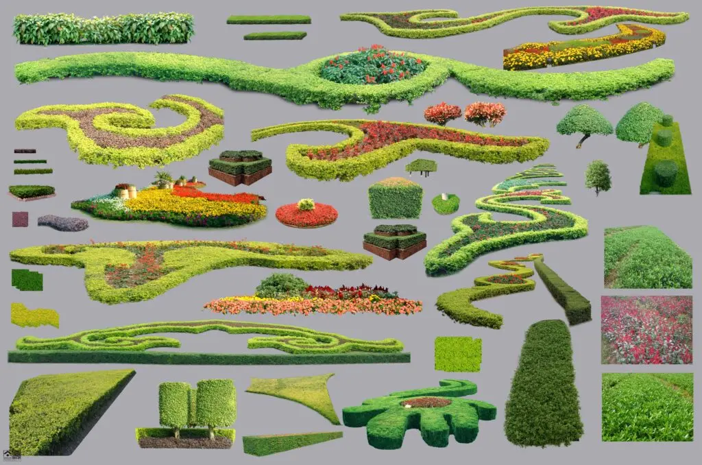 20241122155942354-植物 (6)