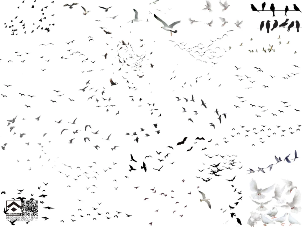 20241122182254141-image